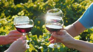 a wine tour to start your summer off right