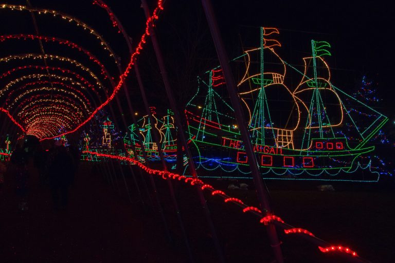 9 Best Christmas Light Displays in Virginia