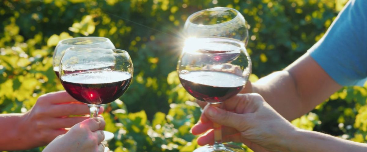 a wine tour to start your summer off right